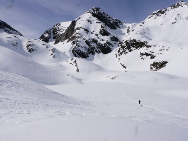 pico piedrafita y cuello Gaurier